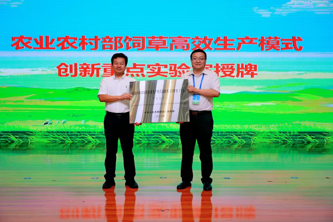 限制级