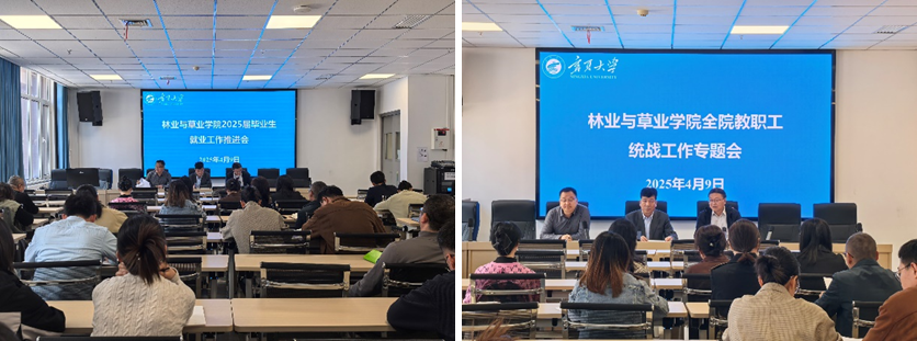 限制级
