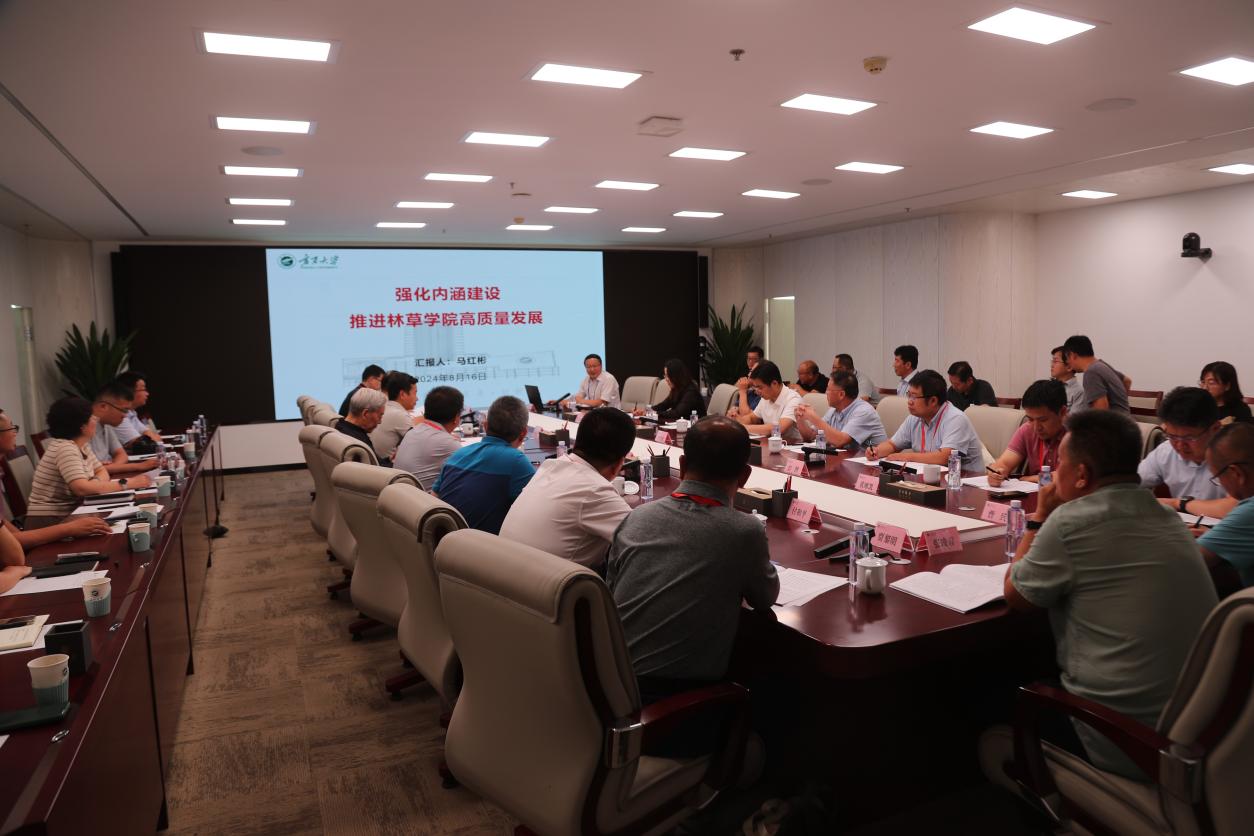 限制级
