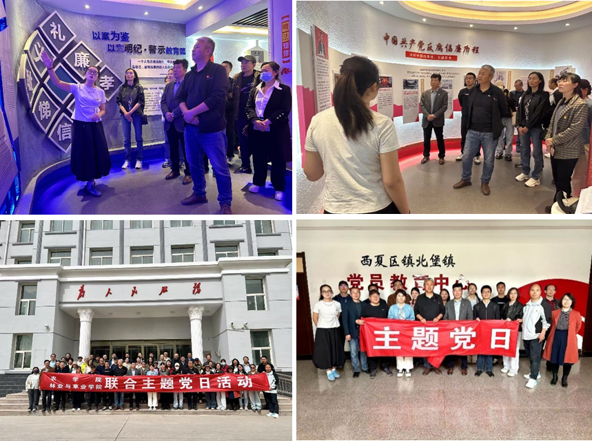 限制级