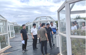 限制级