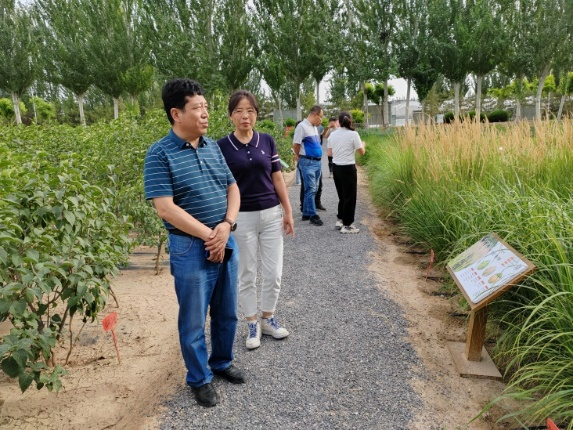 限制级