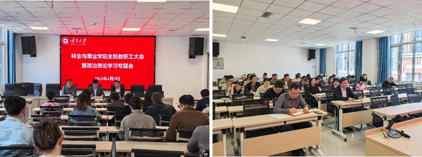 限制级