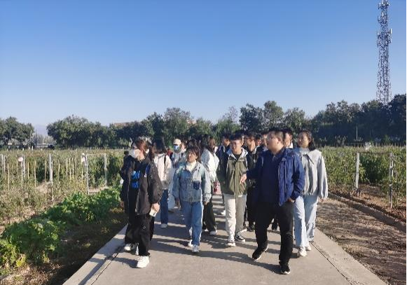 限制级