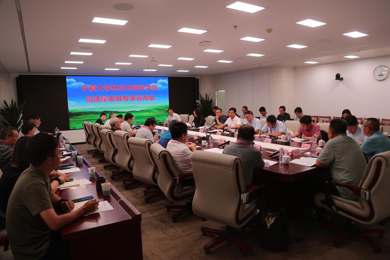 限制级