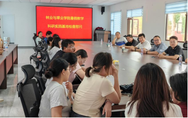 限制级