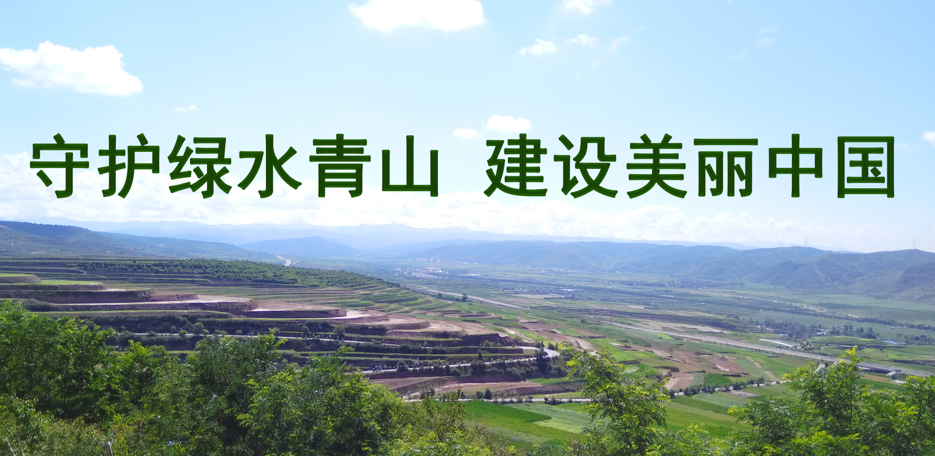 限制级